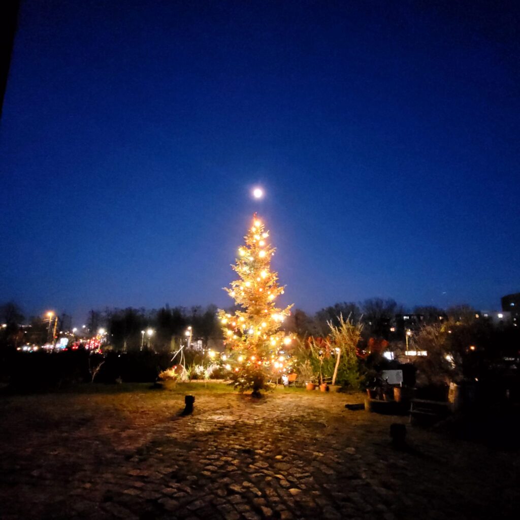 Bockwindmühle im Advent